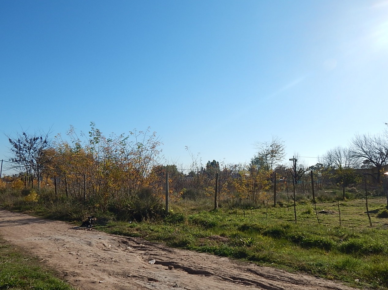 LOTES EN VENTA - Marcos Paz - Pcia. de Buenos Aires.