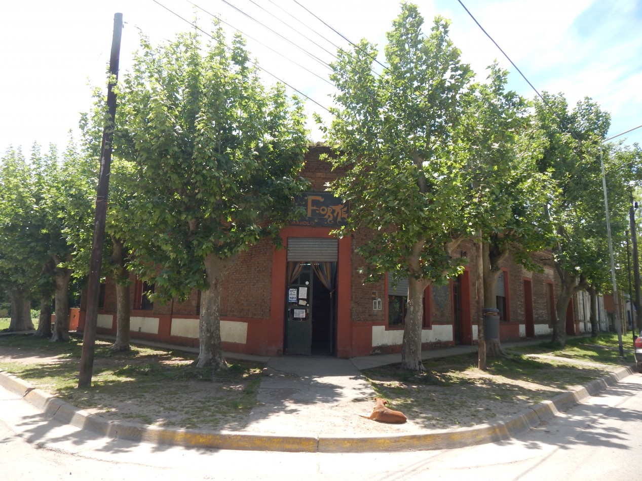 LOTE CON LOCAL Y VIVIENDA EN VENTA - Villars, Las Heras - Pcia de Buenos Aires.