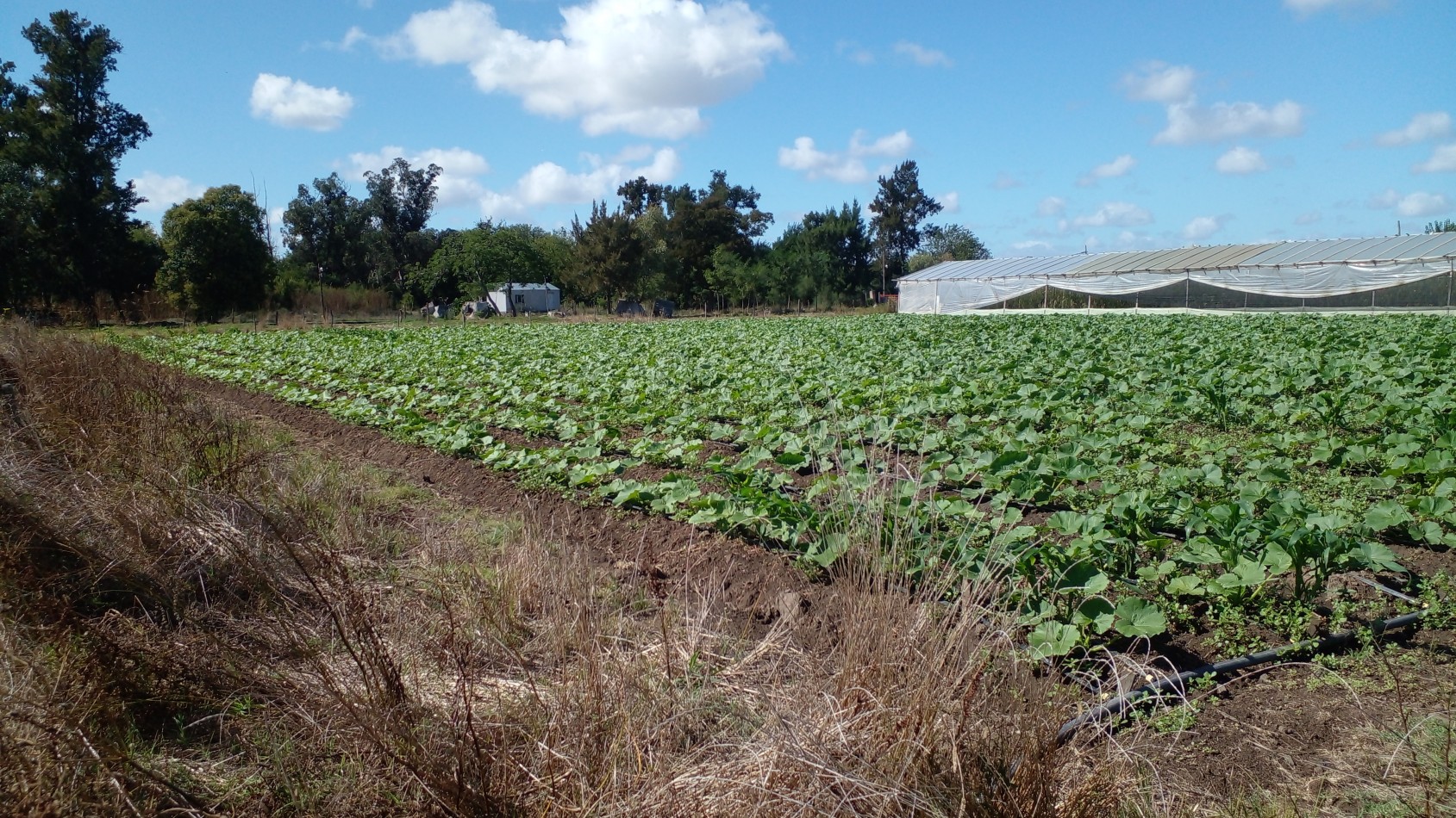 Fraccion de 9.7 hectareas en venta - Lisandro Olmos - La Plata