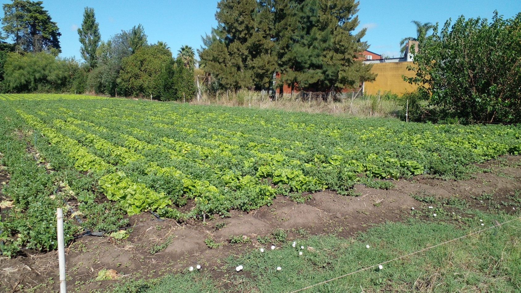 Fraccion de 9.7 hectareas en venta - Lisandro Olmos - La Plata
