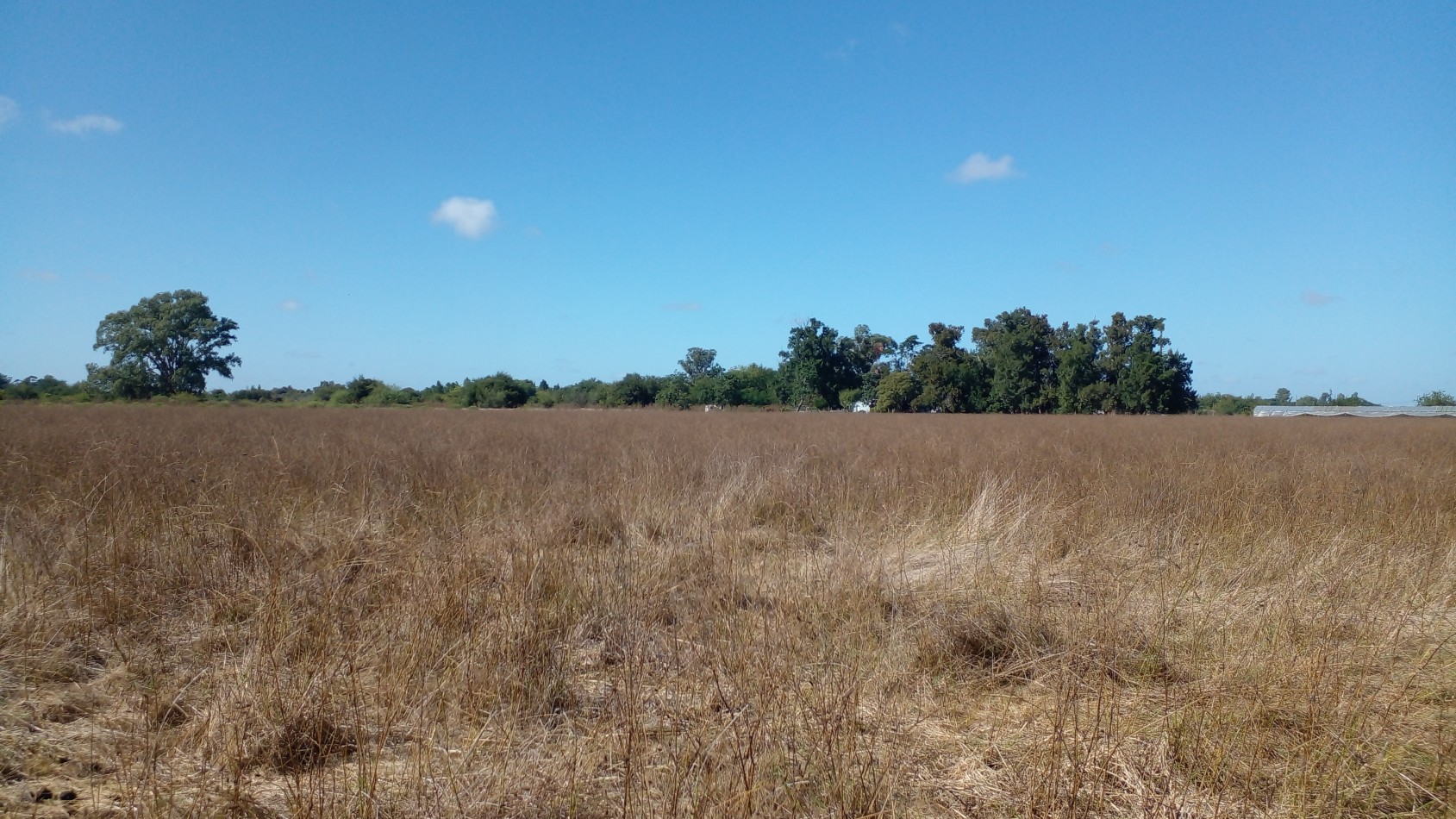Fraccion de 9.7 hectareas en venta - Lisandro Olmos - La Plata