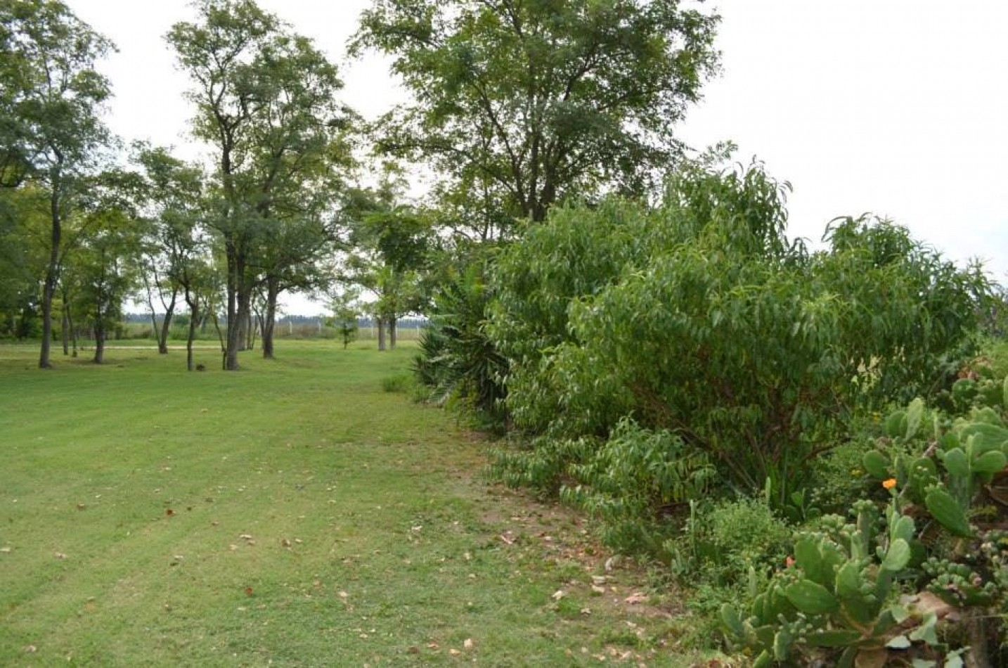 Lote en venta (club de campo Las Hojas) - Marcos paz - RP6 Km 129 - Pcia. de Buenos Aires.