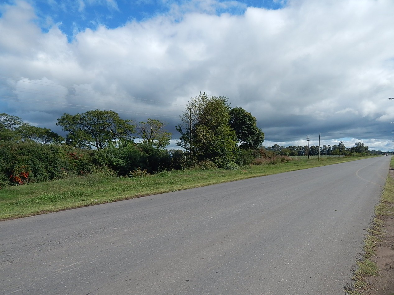 CAMPO EN VENTA - Marcos Paz - Pcia. de Buenos Aires.