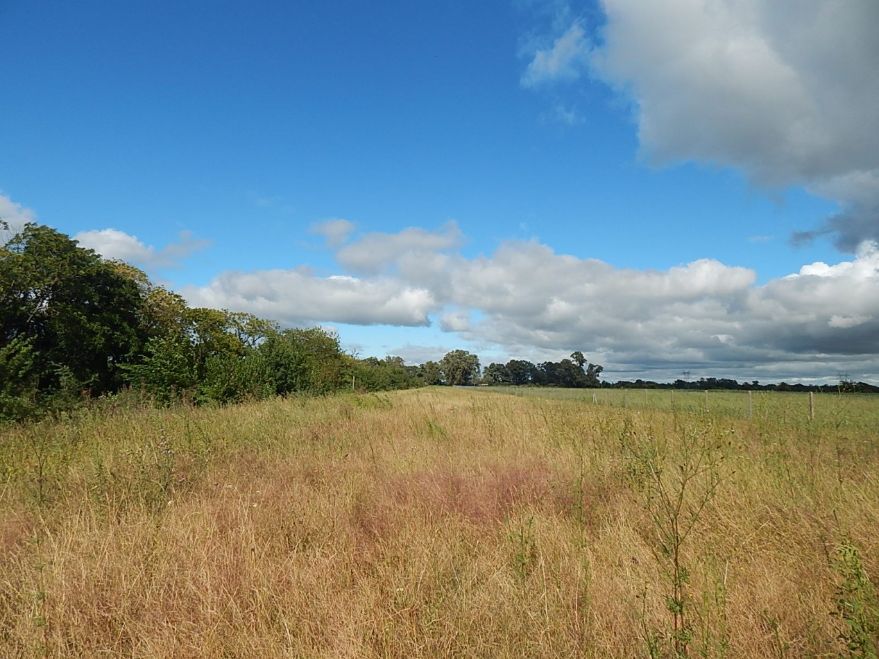 CAMPO EN VENTA - Marcos Paz - Pcia. de Buenos Aires.