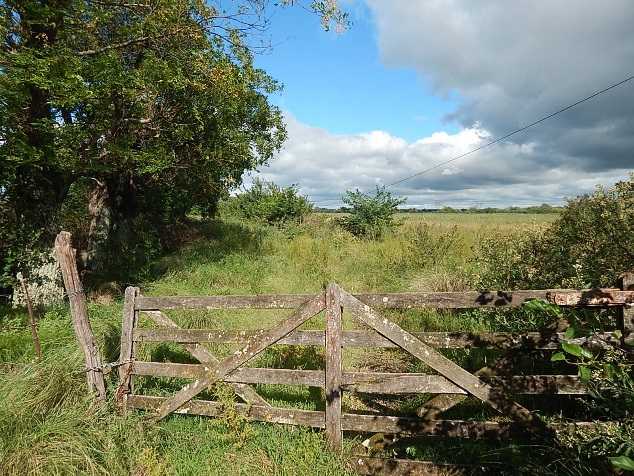 CAMPO EN VENTA - Marcos Paz - Pcia. de Buenos Aires.