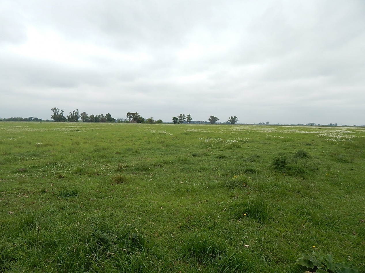 CAMPO en Alquiler 62 has con Casco - Marcos paz - Provincia de Buenos Aire.