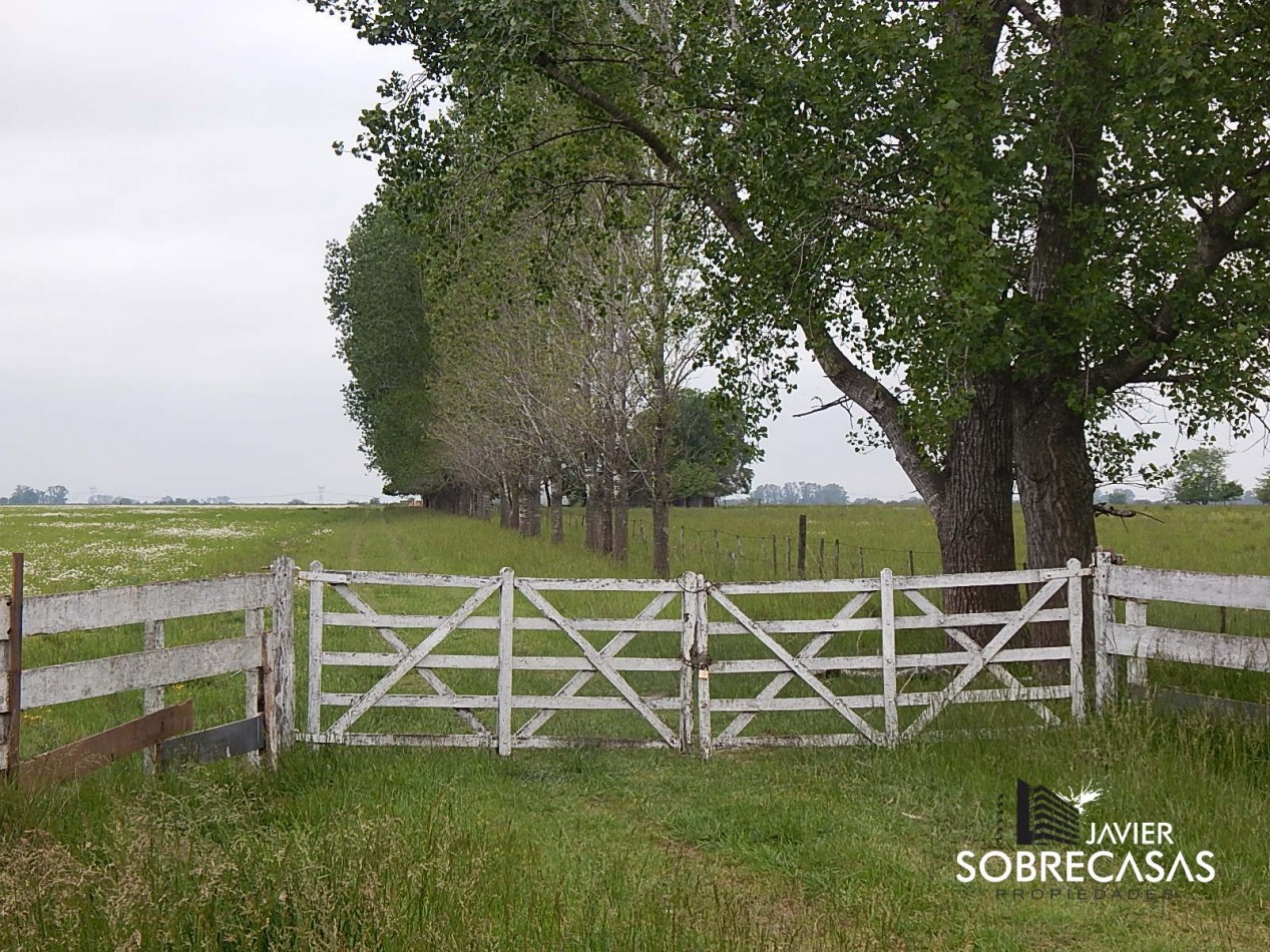 CAMPO en Alquiler 62 has con Casco - Marcos paz - Provincia de Buenos Aire.